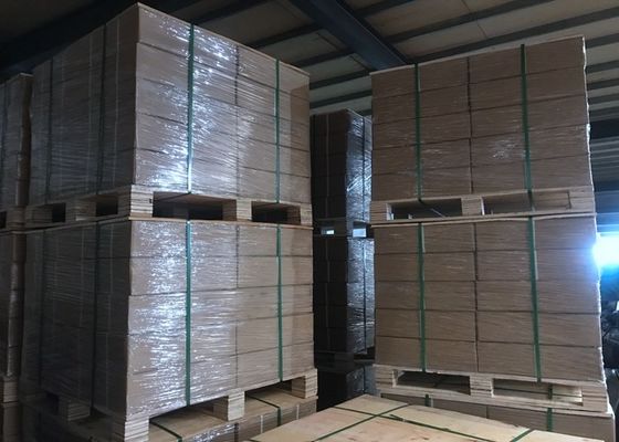 ISO9001 Green Yellow 380mpa SAE1008 Black Binding Wire